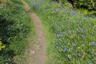 HWP Path