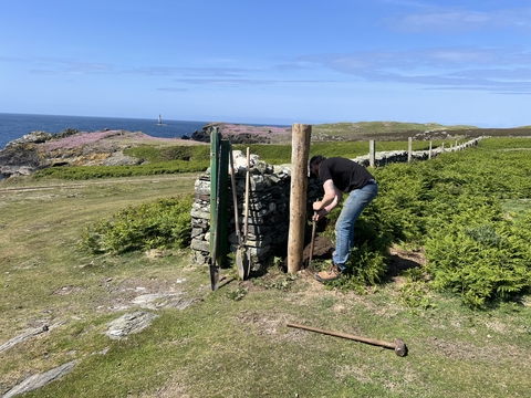 Warden doing fencing work on the Calf
