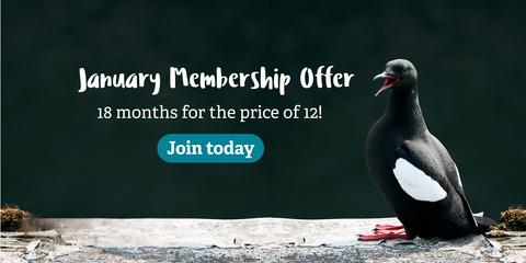 © Adam Morgan Biosphere Photographer in Residence