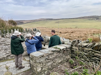 Looking for the Grasshopper Warbler in the front field 