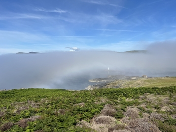 An image showing a dense bank of fog during a temperature inversion