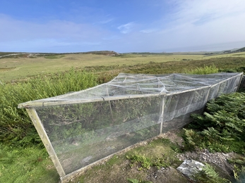 The Heligoland trap at the observatory on the Calf of Man