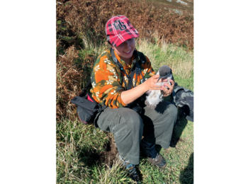 Volunteer holding a Manx Shearwater chick