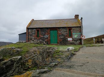 Seal pup in front of an old store building