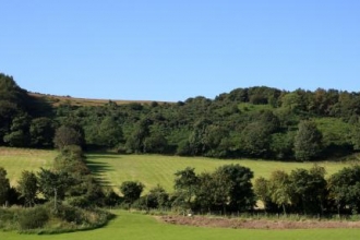 Crossags Coppice