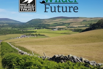 Wilder Future Logo