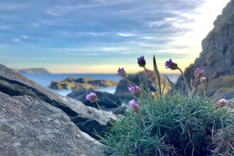 landscape, Isle of Man