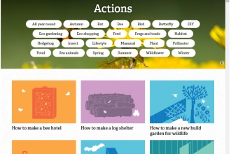 Website