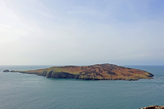 The Calf of Man