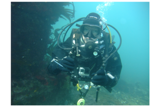 Lara diving