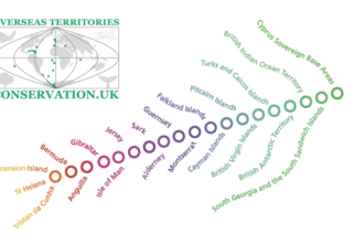 UKOTCF conference