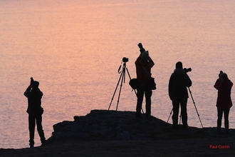 Photographers at sunset - Calf