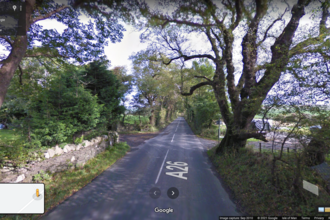 Braaid road elm tree tunnel