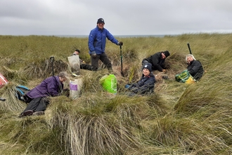 Muckers digging Montbretia