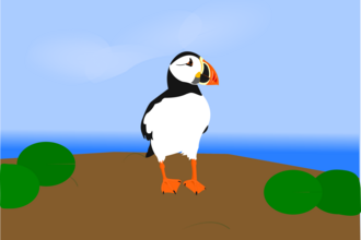 Puffin Illustration 