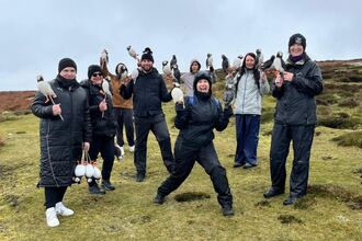 Microgaming Puffin Planting on the Calf