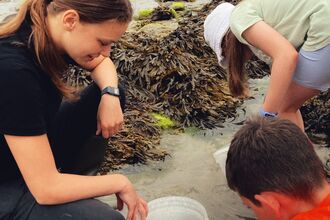 Education Officer Beth looking at rock pool specimens with 2 watch members.