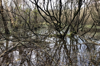 MWT Goshen Nature Reserve