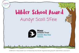 Graphic Reads: Wilder School Award, Aundyr Scoill S'Feie, Manx Wildlife Trust