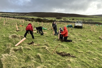 People planting trees
