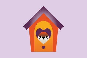 A tree sparrow in a bird box graphic