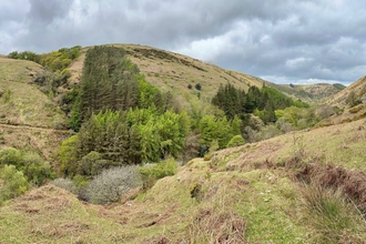Glen Auldyn