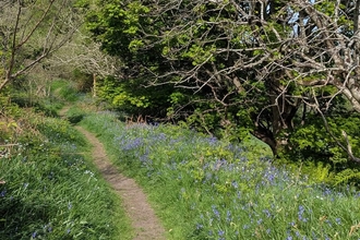HWP Path