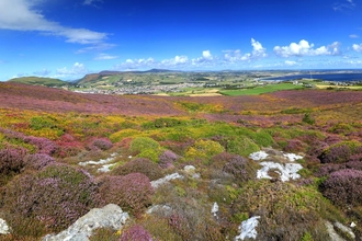 UNESCO Biosphere Isle of Man appoints new board