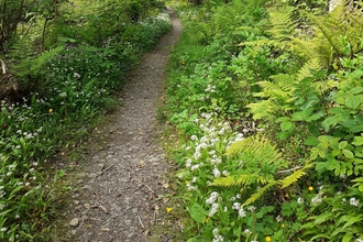 Cooildarry Nature Reserve