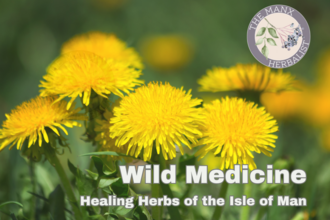 The Manx herbalist 