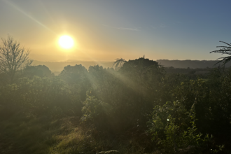 Early morning, Finca de Osorio
