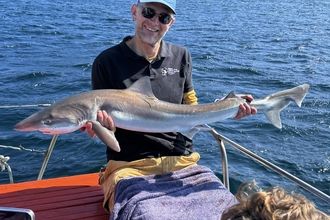 Shark tagging 