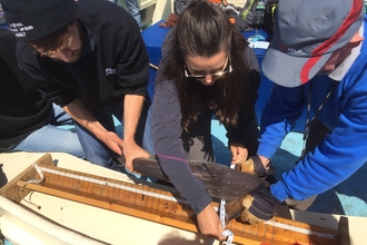 Shark tagging 
