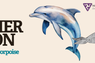 Event banner for Meet a Dolphin, a Porpoise and a Seal! with image drawings of a dolphin and seal, with logos