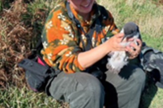 Volunteer holding a Manx Shearwater chick