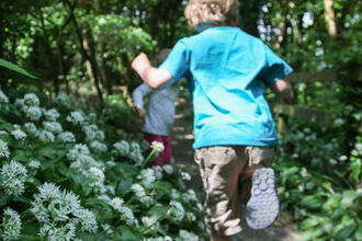 Running-through-wild-garlic-claughbane © Clare-Paine