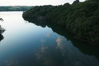 No Trees, No Seas promo photo