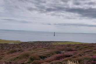 Calf of Man Manx Nature Alliance