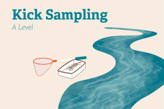illustration kick sampling A level