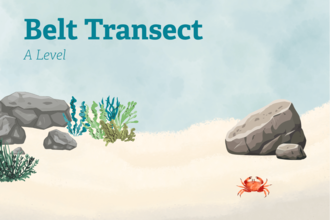 illustration belt transect A-Level