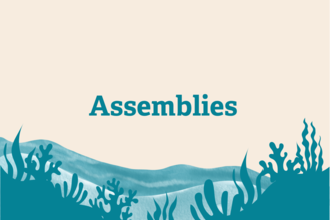 Illustration assembly