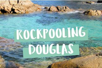 Rockpooling image