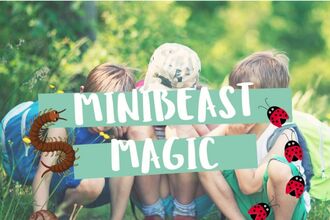 Minibeast magic