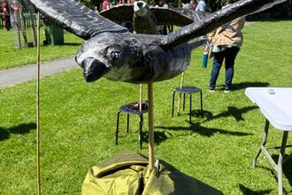 Swift Made by BirdLife