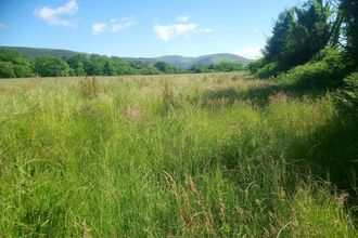 Ballaugh