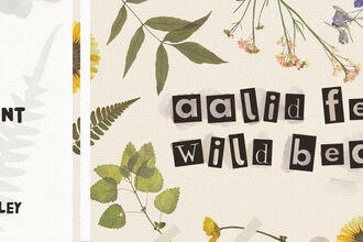 Milntown Web Banner