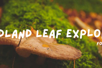Woodland Leaf Explorers 