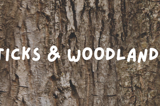Magic sticks and woodland stories