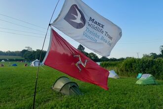 Manx flag and MWT logo flag at Big Wild Gathering