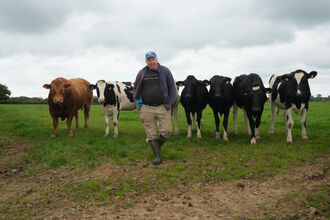 Derek with his cows
